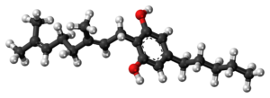 CBG's molecular structure